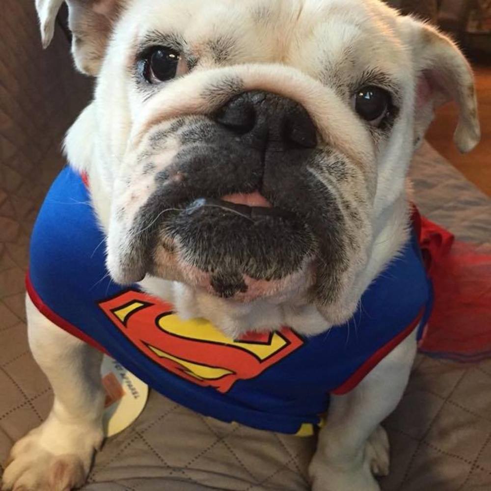 Meet your Posher, Quandee